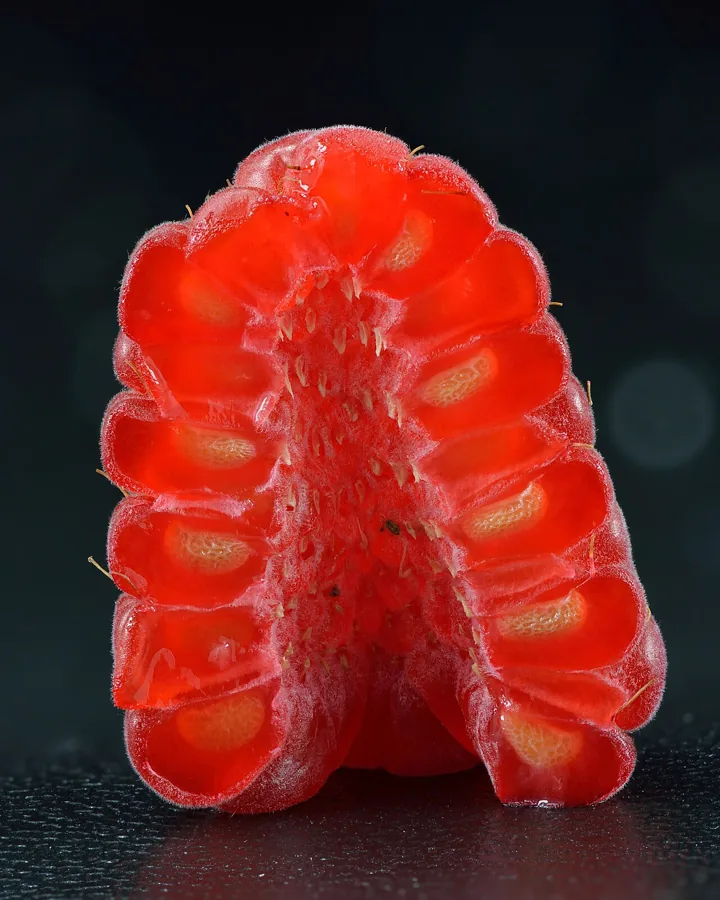 Raspberry