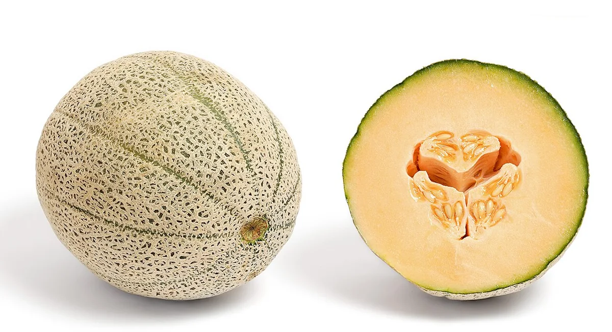 Honeydew Melon
