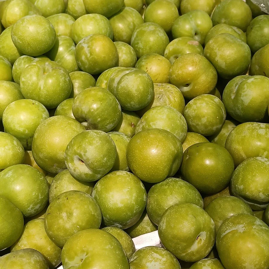 Green Plum