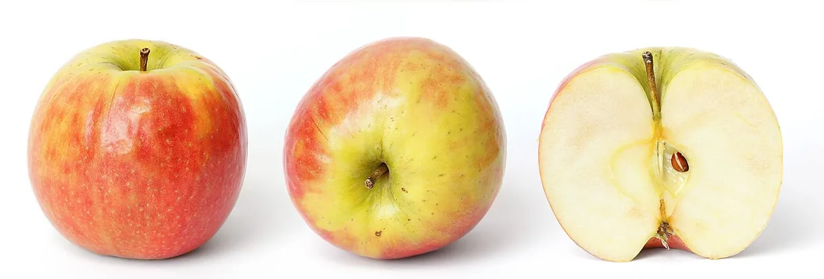 Apple fruit