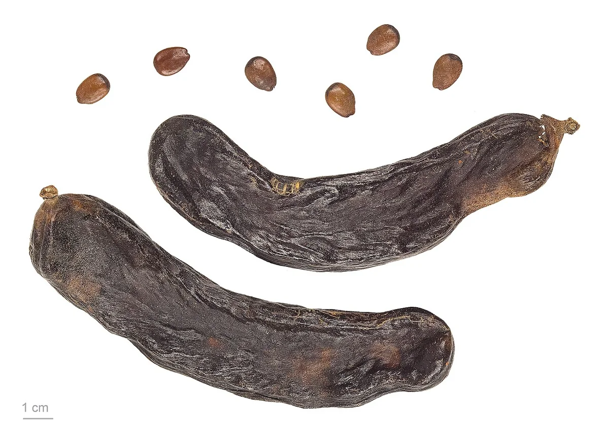 Carob Powder