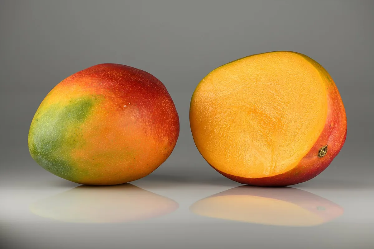 Mango fruit