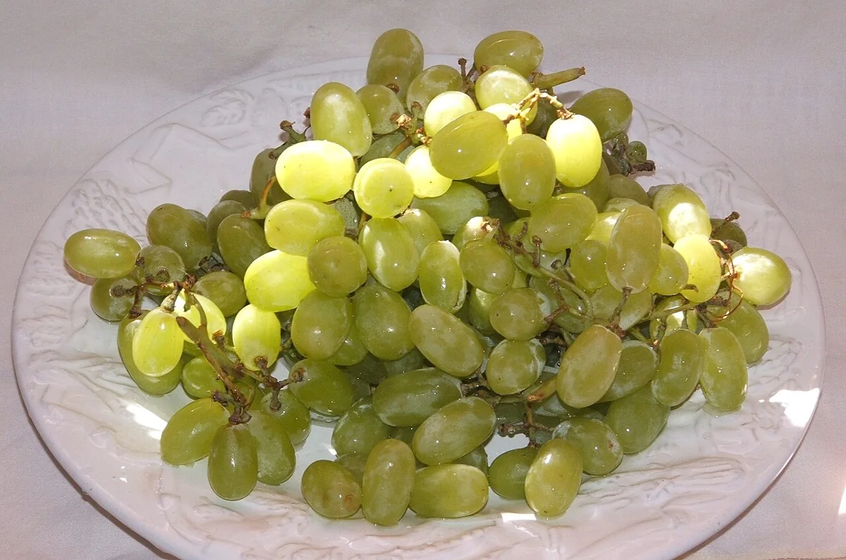 Sultaniye Grape