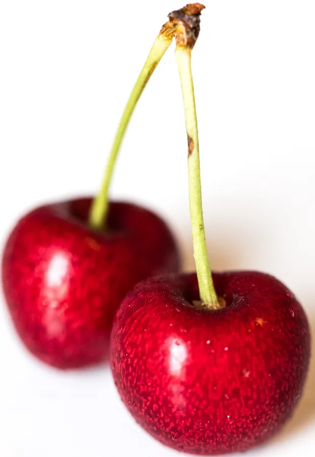 Sweet Cherry