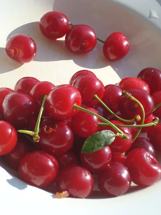 Sour Cherry