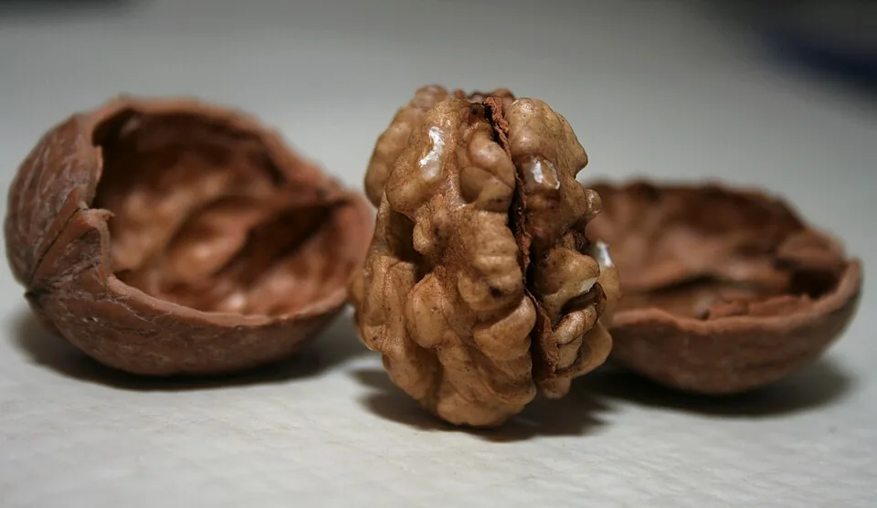 Walnuts