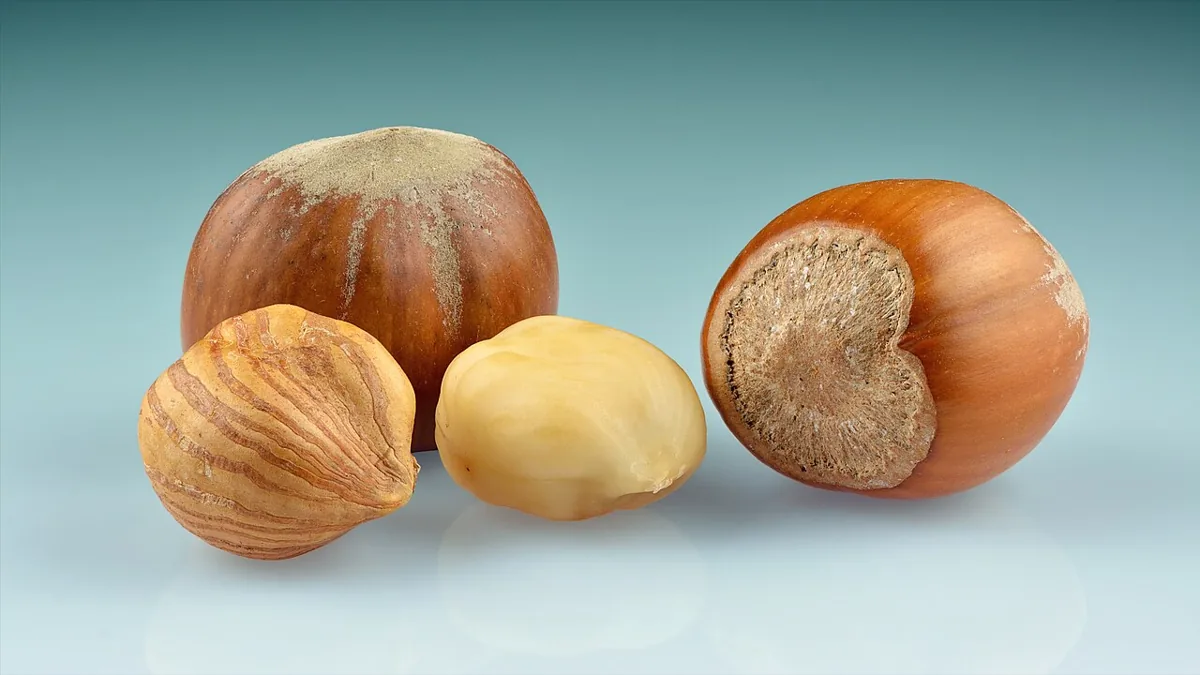 Hazelnuts