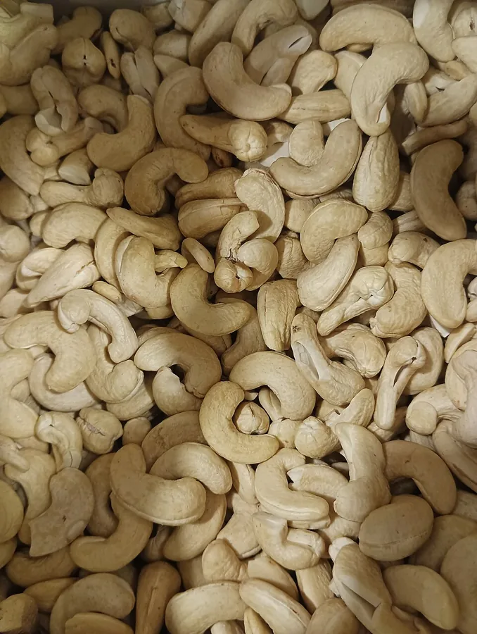 Cashews nut & seed
