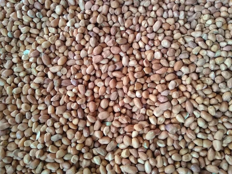 Peanuts