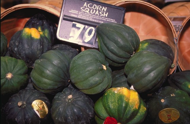 Acorn Squash
