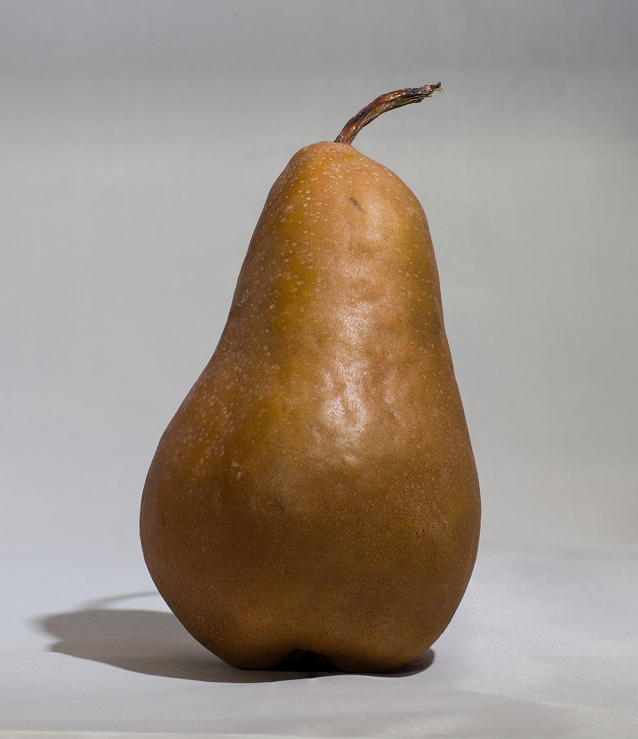 Bosc Pear