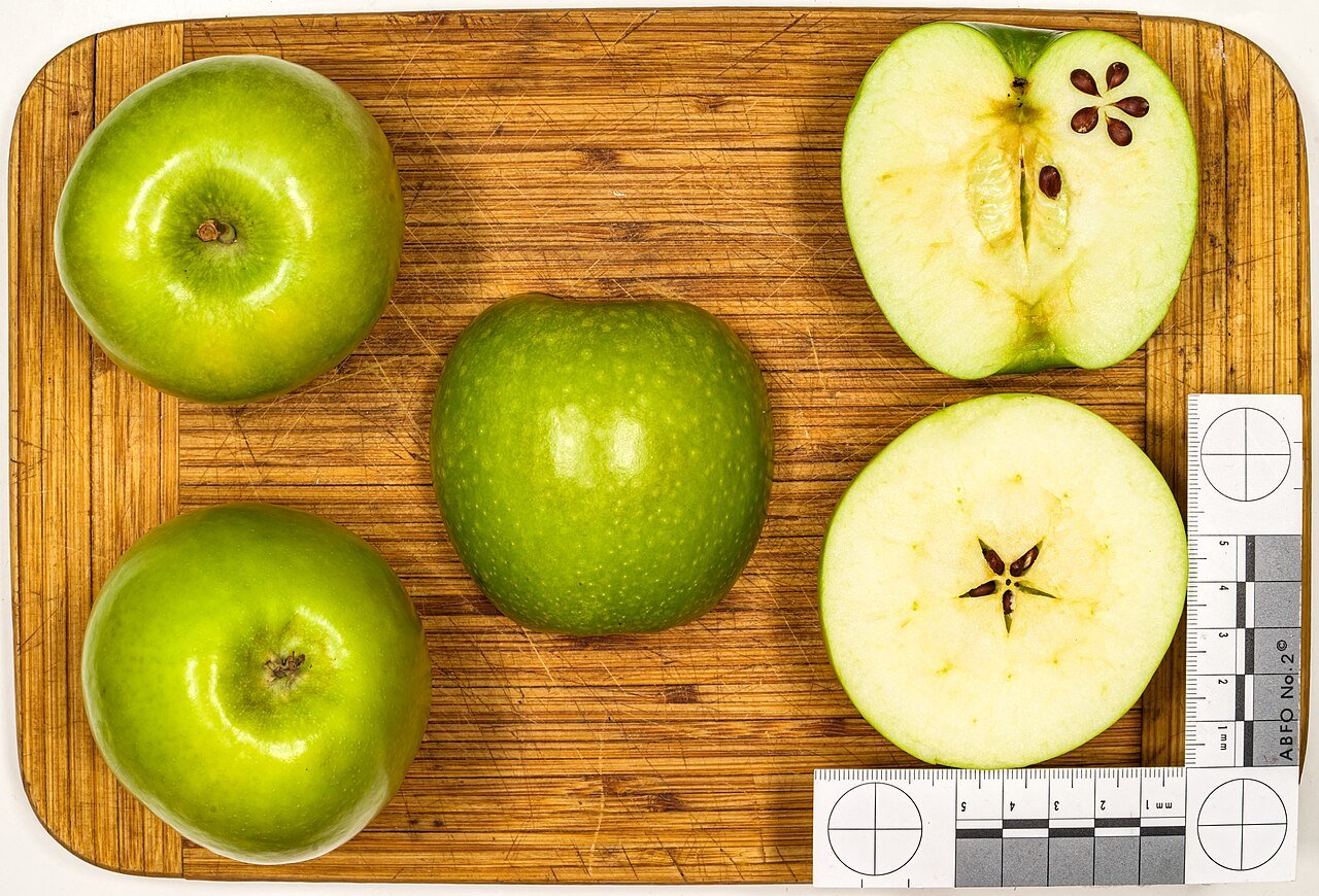 Granny Smith Apple