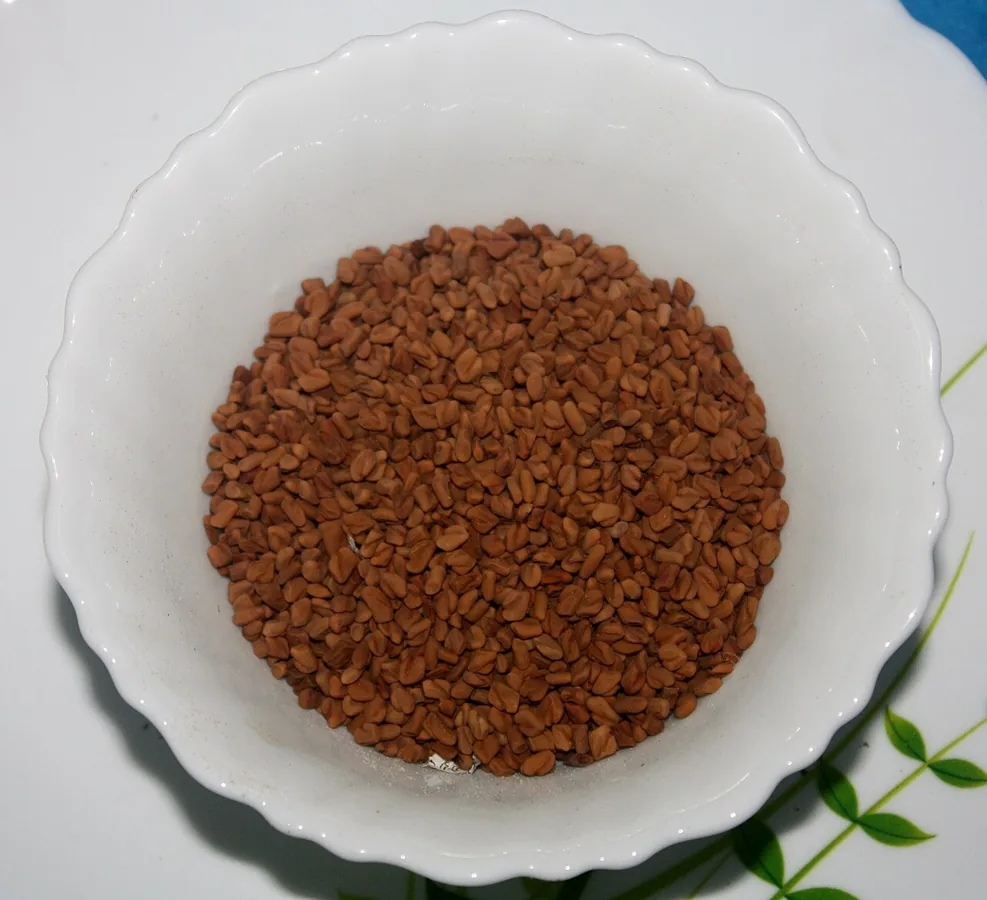 Fenugreek Seed