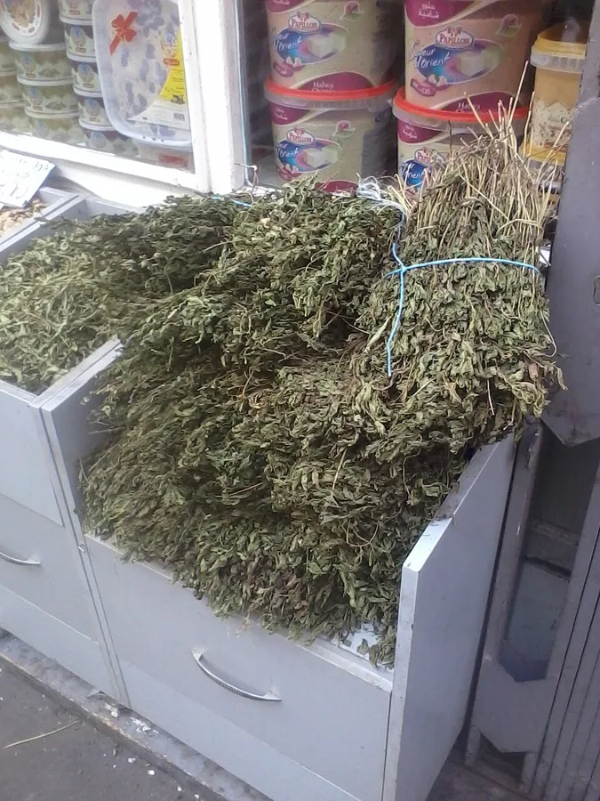 Dried Spearmint