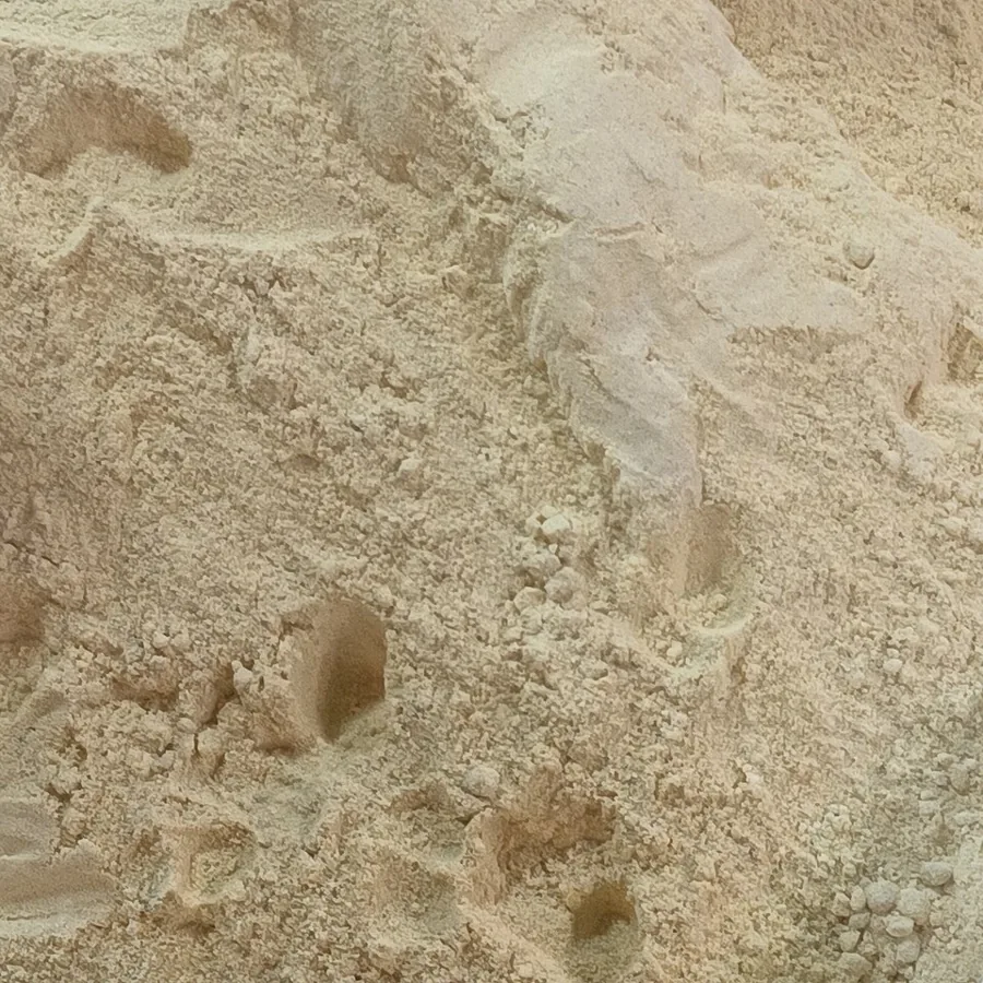 Zencefil (Toz) baharat görseli