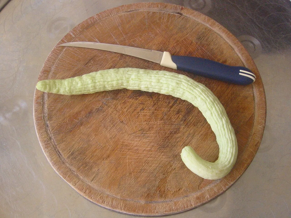 Acur sebze görseli