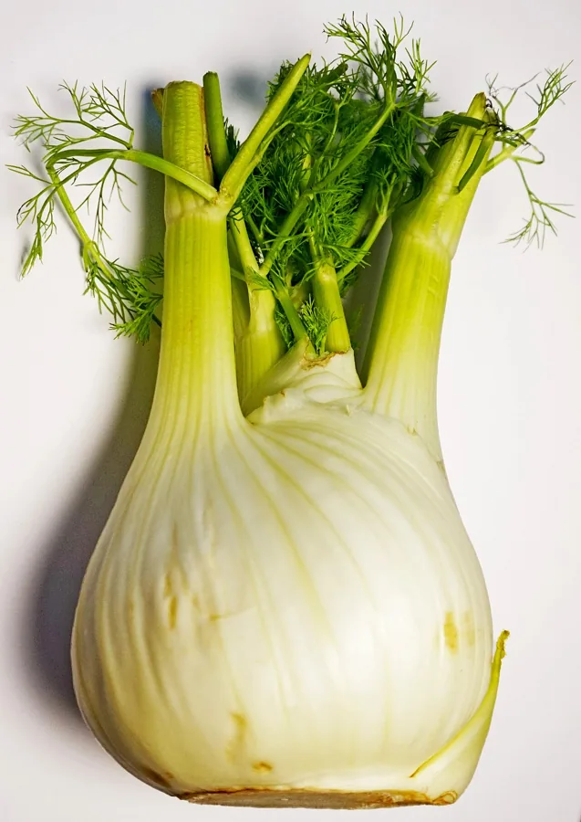Wild Fennel Greens