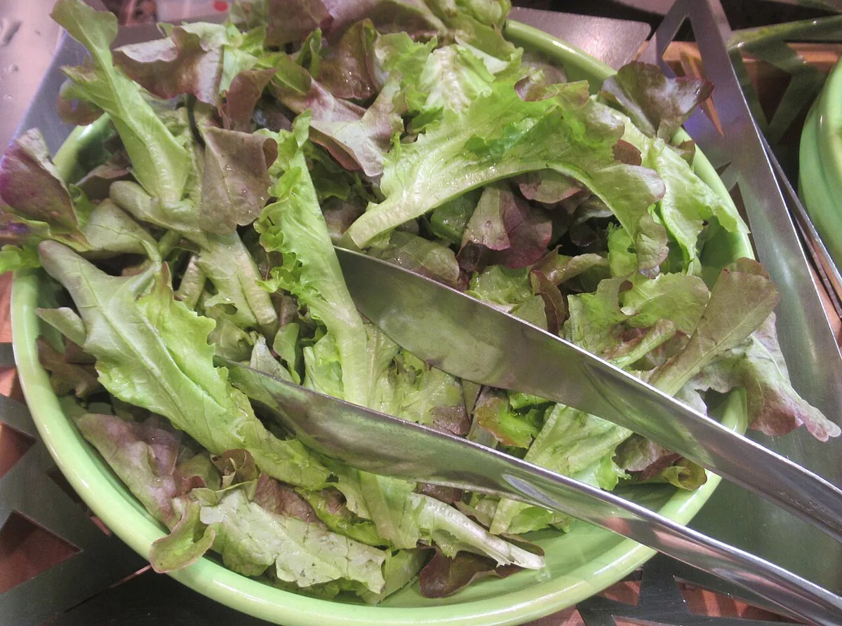 Iceberg Lettuce