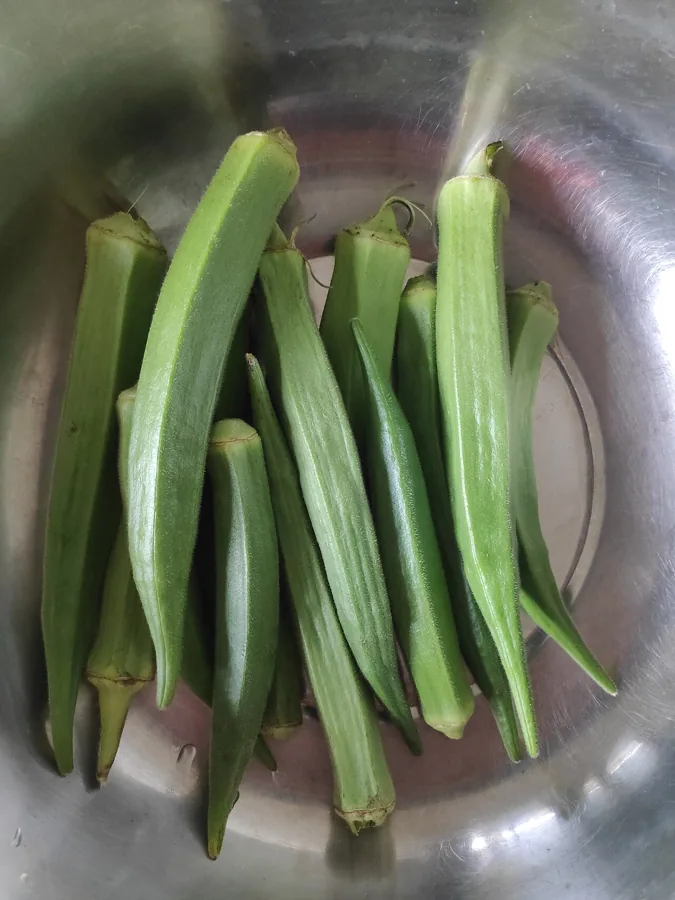 Okra vegetable