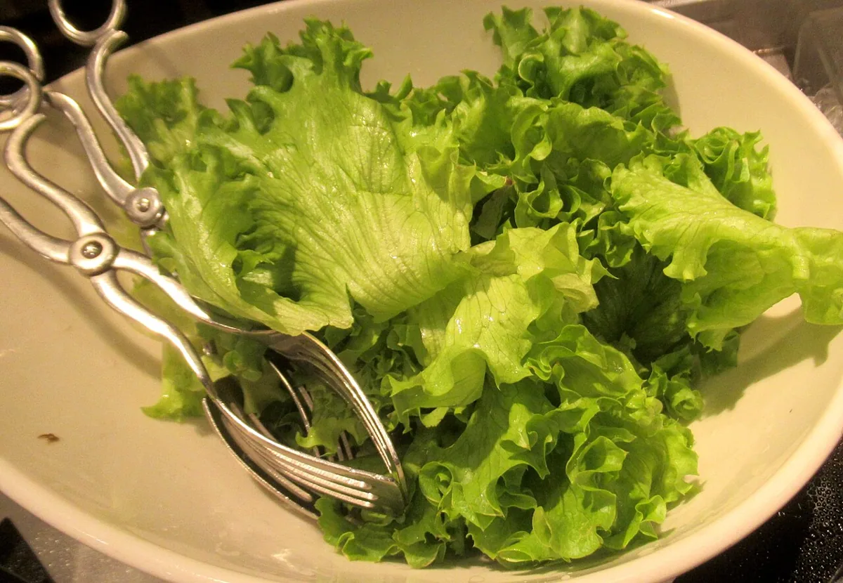 Boston Lettuce