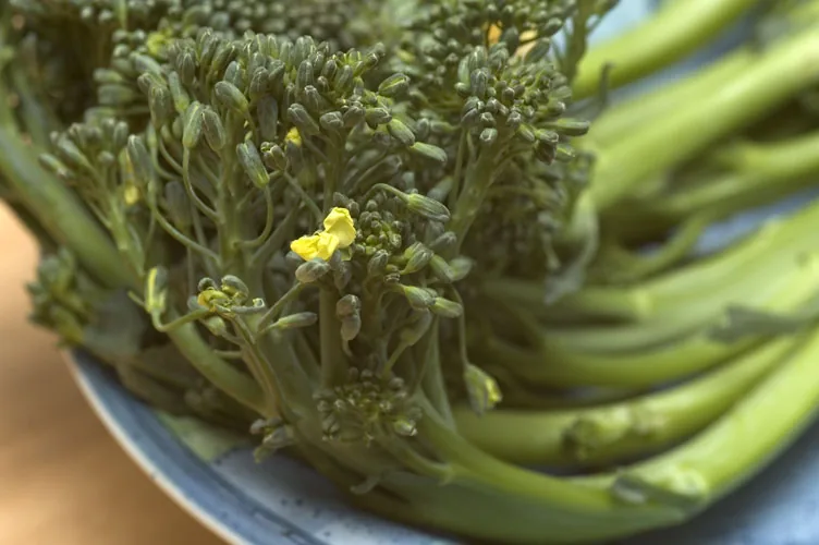 Broccolini vegetable