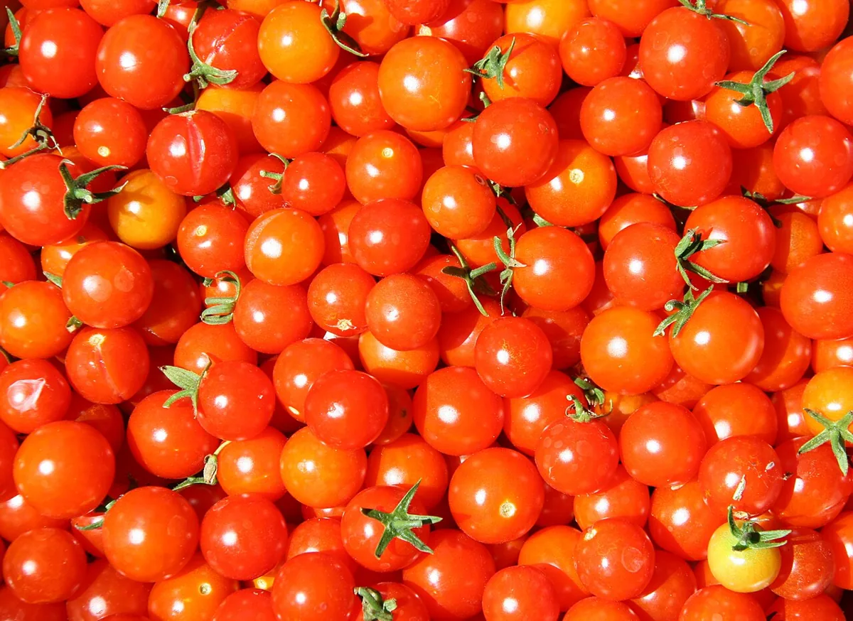 Cherry Tomato
