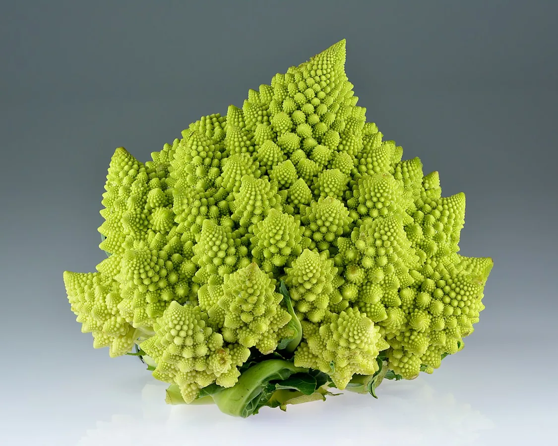 Cibes (Brassica Shoots)