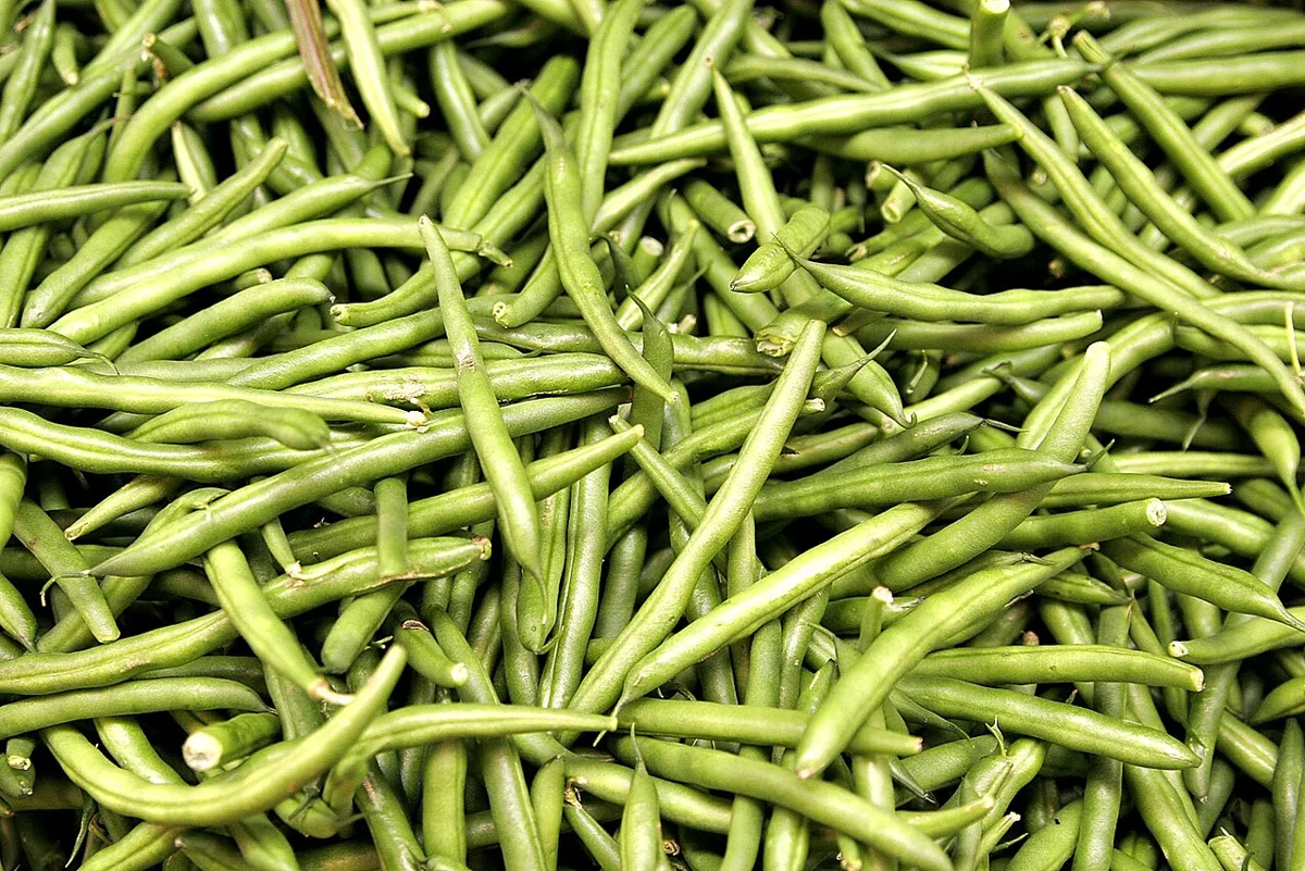 Green Beans