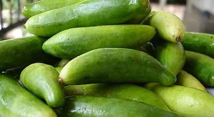 Gherkin (Kornişon Salatalık) sebze görseli