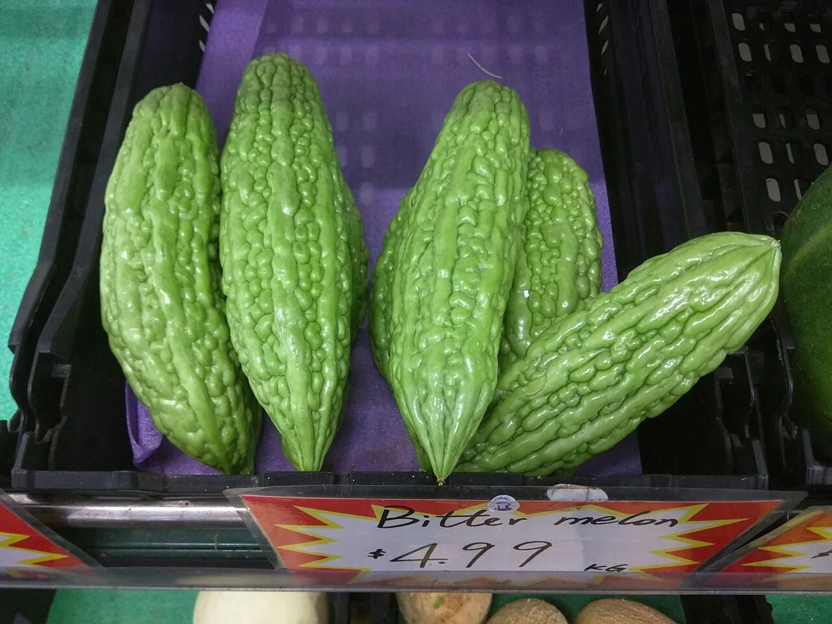Bitter Melon vegetable