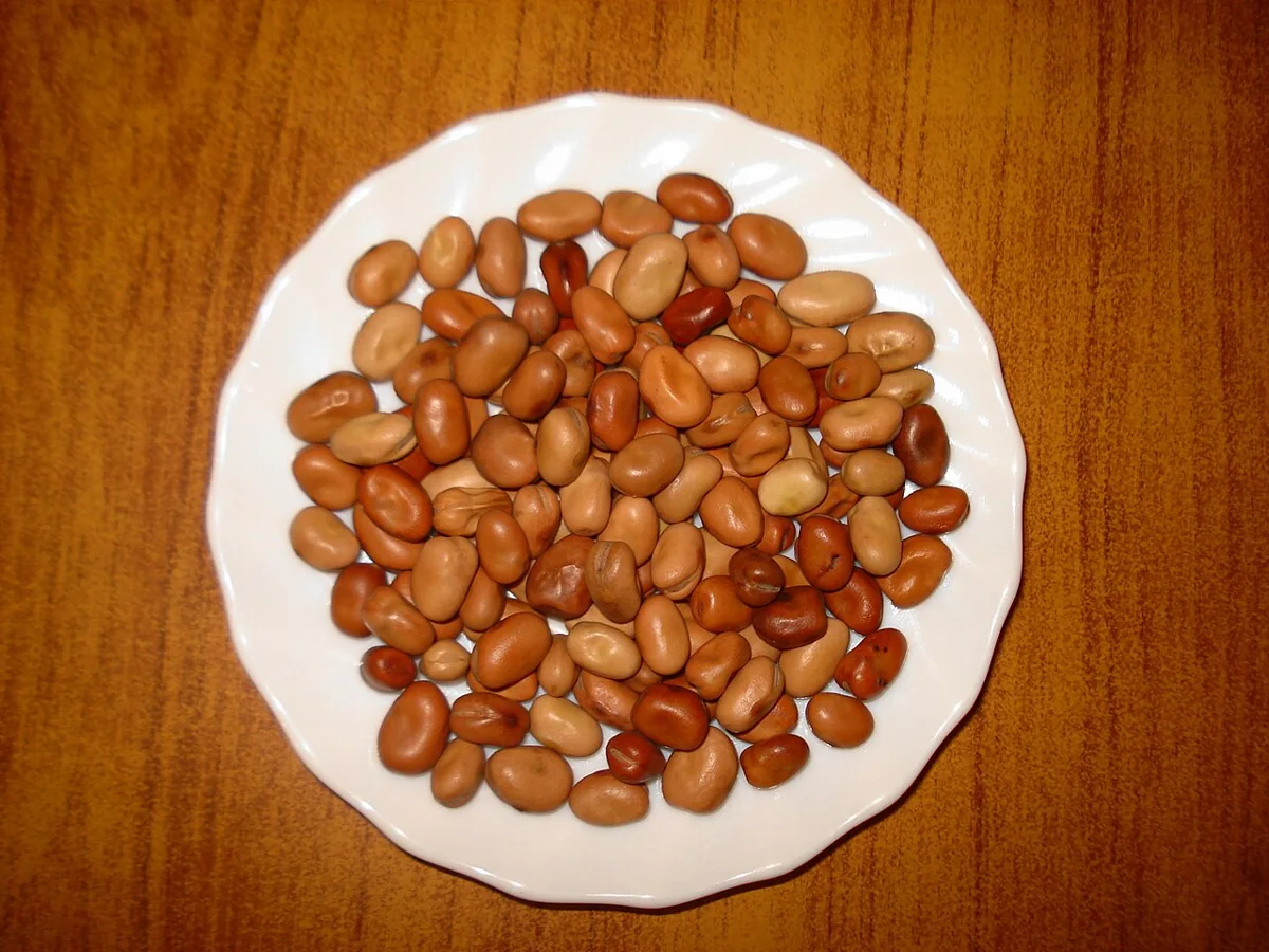 Dried Fava Beans