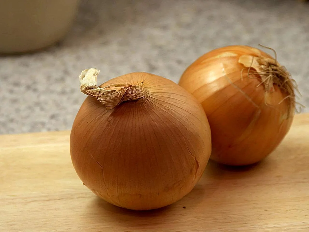 Onion vegetable