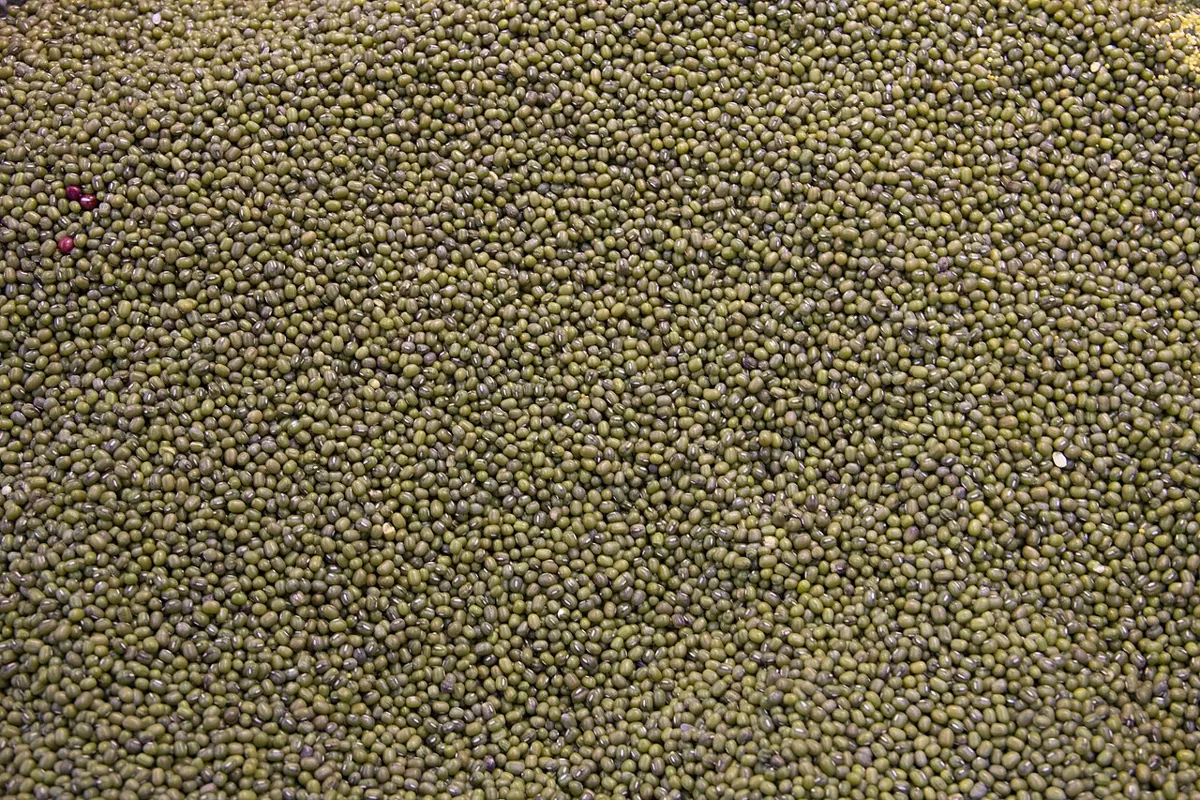 Mung Beans