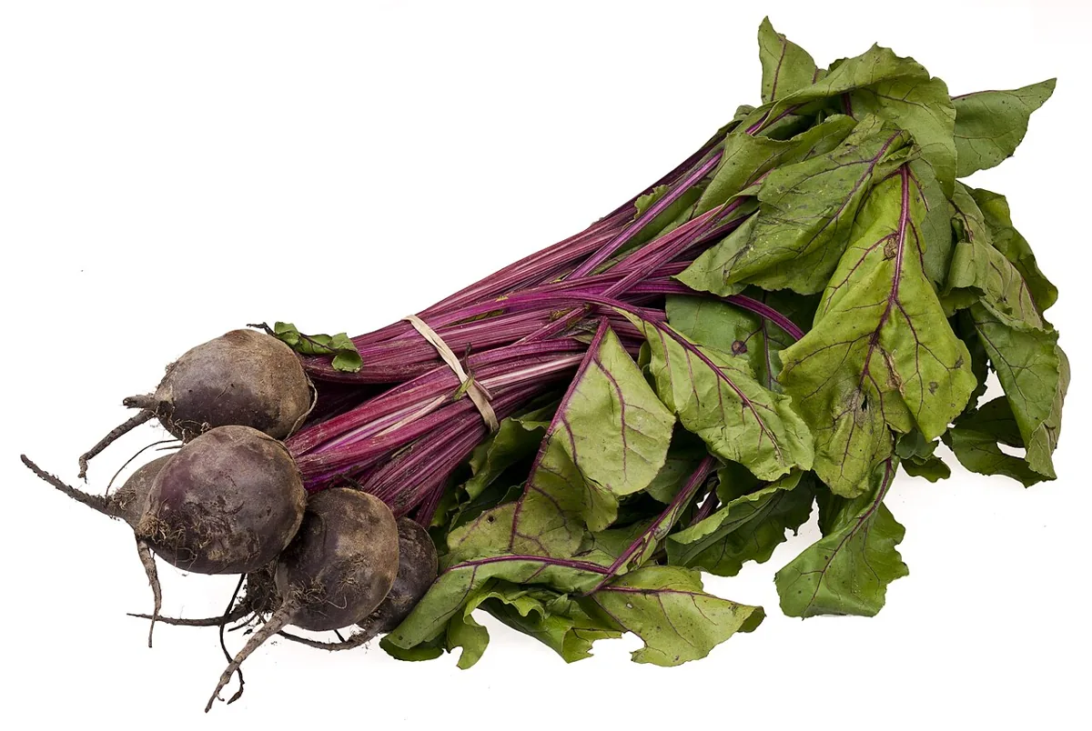 Beet