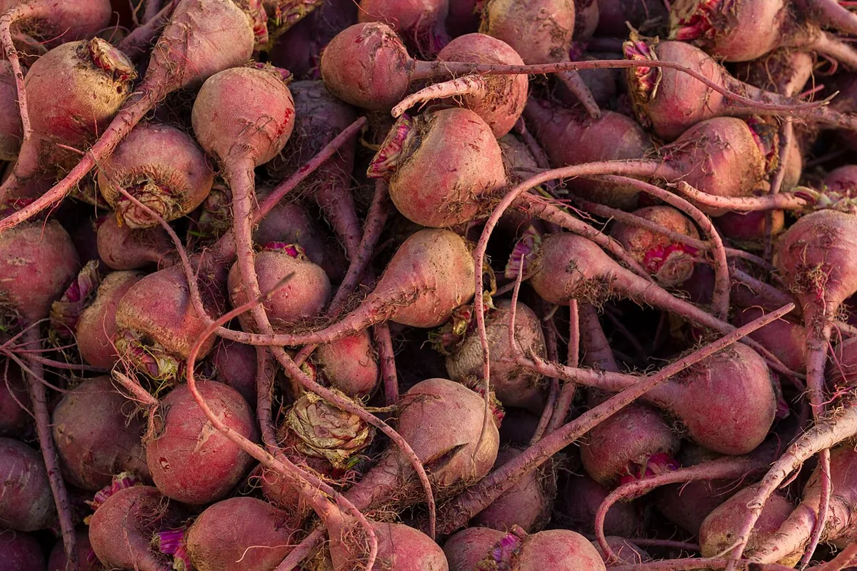 Beet Greens