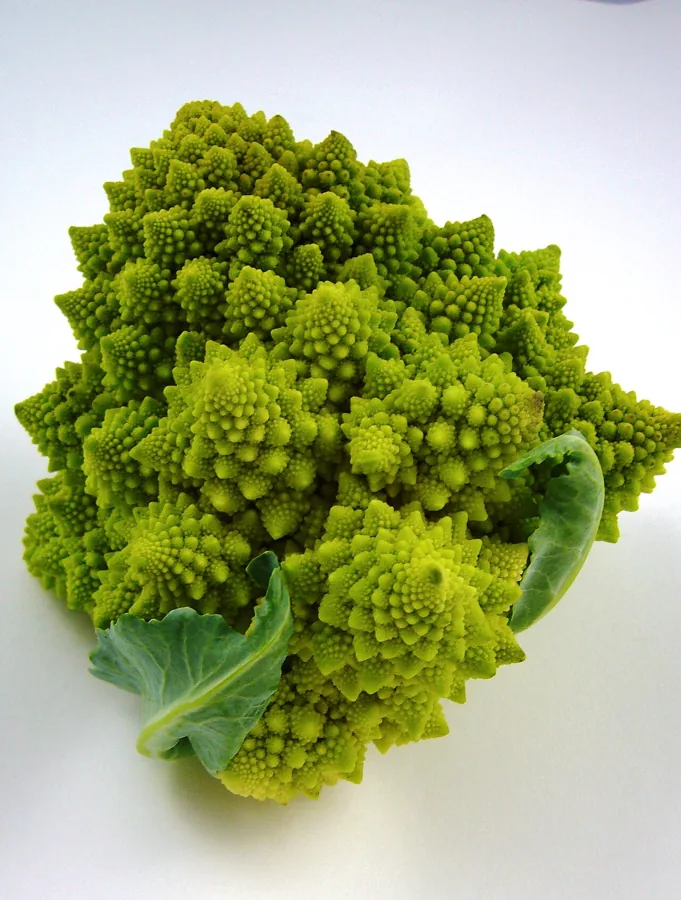 Romanesco
