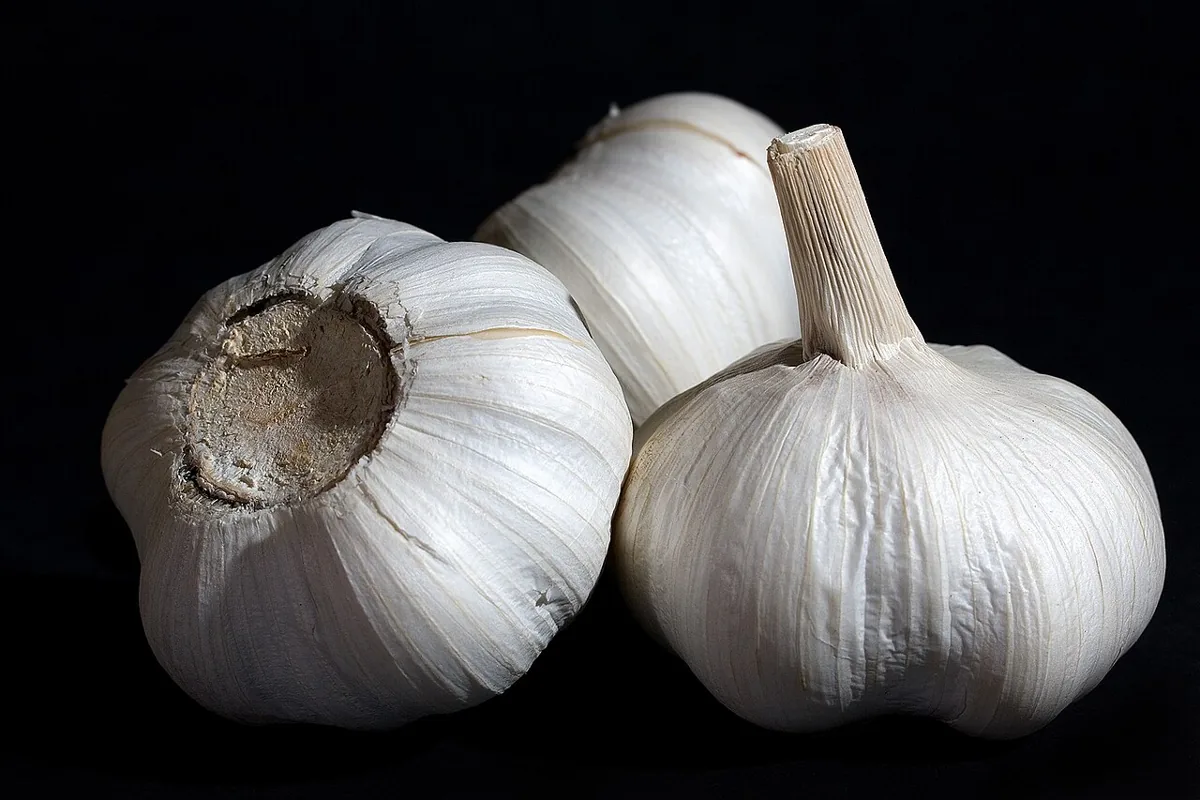 Garlic vegetable