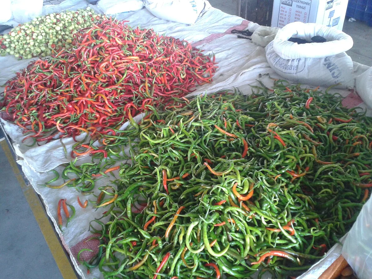 Sivri Green Pepper