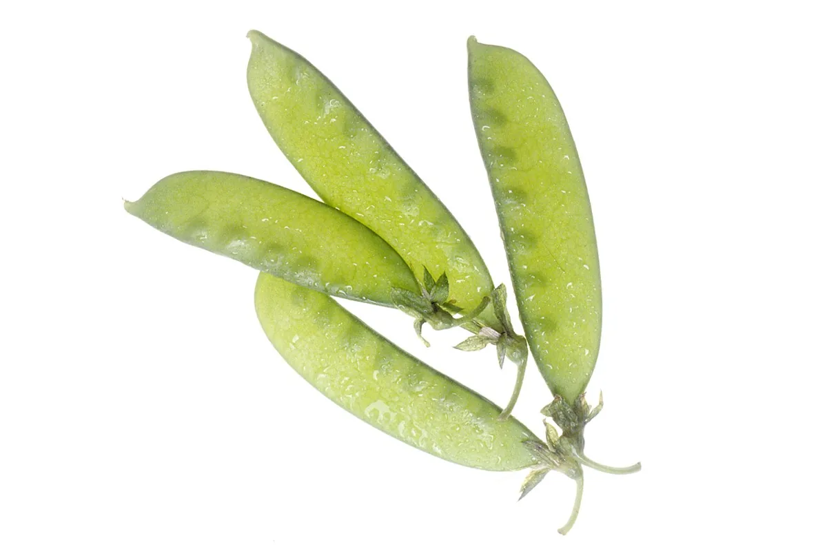 Snow Peas