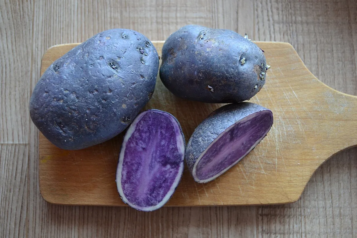 Vitelotte Purple Potato