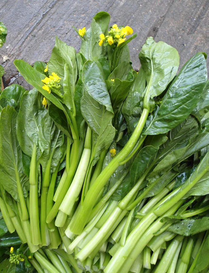 Choy Sum (Yu Choy)